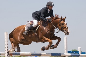 horse and rider going over a jump