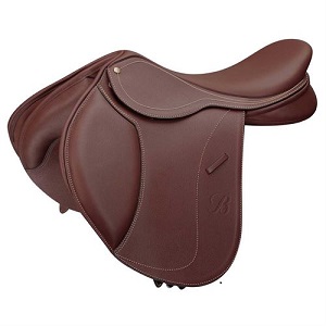 picture of english saddle