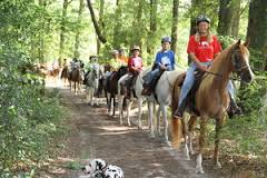 group of horse riders on the trail